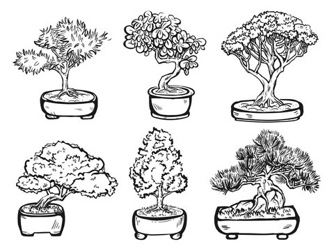 Set of handdrawn isolated decorative asian bonsai trees in the pots.