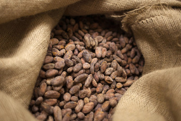 Cocoa beans