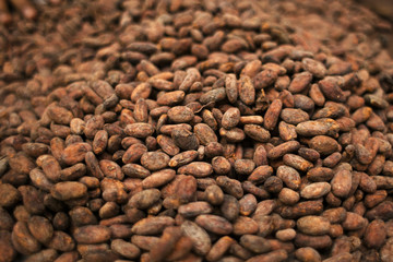 Cocoa beans