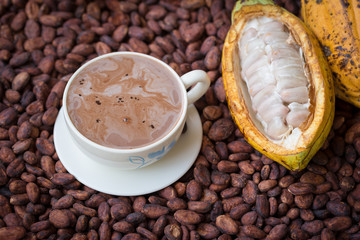 Ripe cocoa pod and beans setup on rustic wooden background