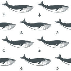 Nautical pattern with whales and anchors.Vector illustration.