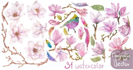 Naklejka premium Watercolor branches of magnolia, beautiful flowers over white