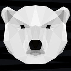 Fototapeta premium Polar bear head. Nature and animals life theme background.