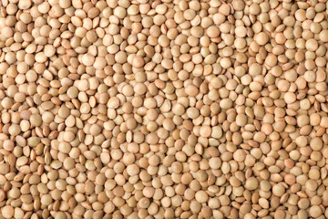 food background of raw lentils