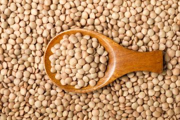 food background of raw lentils