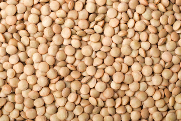 food background of raw lentils