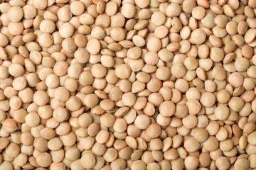 food background of raw lentils