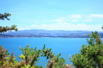 wellington on a good day