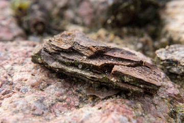 Small rocks