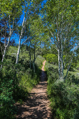 Gorgoza Trail 