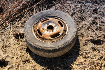 pneu usagé poluant la nature