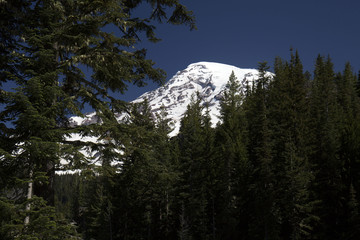 Mount Rainier in Washington State