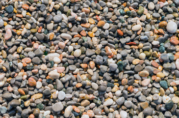 Small rocky cover the sea coast