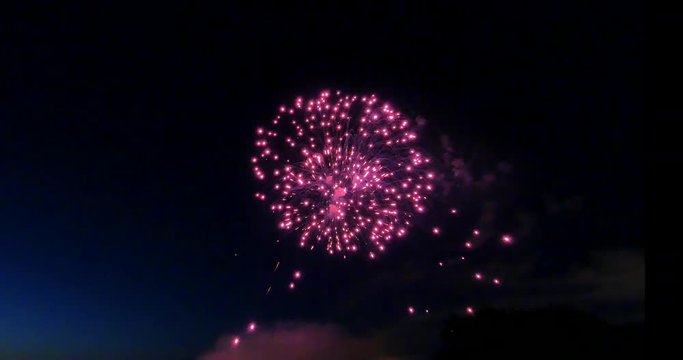4K Purple Fireworks, Celebration Bright Light Flash, Black Sky Background