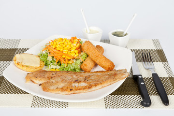 Grilled fish fillet with french fries and salad