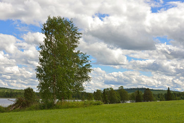 Northern landscape. High clouds. Finnish Lapland