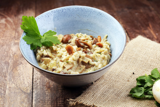 risotto with mushrooms, fresh herbs and parmesan cheese.