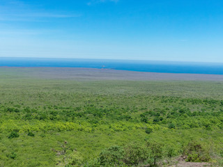 Fototapeta na wymiar Tortuga Bay on Santa Cruz Island Galápagos Islands Ecuador 