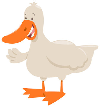 duck farm animal cartoon