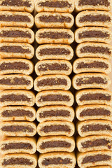 Fig cookies stacked in three rows