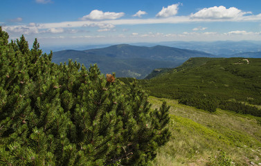 Fototapeta na wymiar Babia gora mountain in Poland with stones, blue sky with white clouds plants