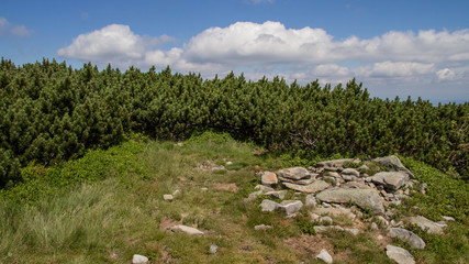 Babia gora mountain in Poland with stones, blue sky with white clouds plants
