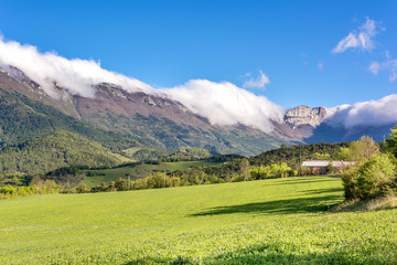 Fototapeta na wymiar French countryside. Green meadow and mountains on a sunny morning in the park of Vercors, France