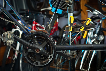 Fototapeta premium Master bike repairs in the workshop 4