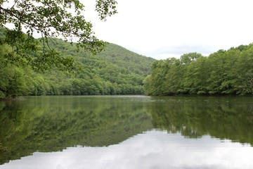 forêt se reflétant dans la rivière Dordogne