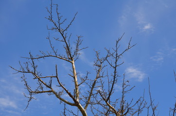 Otoño