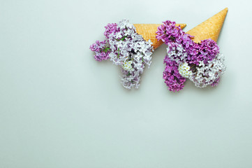 Ice cream waffle cones with lilac flowers