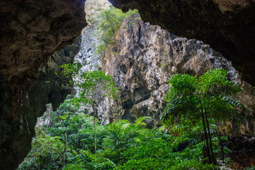 Vegetation and nature in Phraya Nakhon Cave