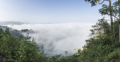 Obraz na płótnie Canvas Morning sky and fog on winter season in Thailand