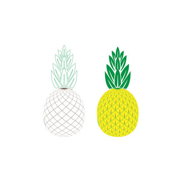 Pineapple tropical fruit.Health symbol. Plant silhouette element collection for Icon, logo, print, label design, web, decoration, t-shirt. Vector set illustration isolated on white background.