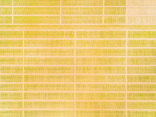 Aerial view to experimental fields with genetic modification plants. Agricultural landscape from...