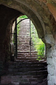 aufstieg zur burgruine drachenfels bei busenberg in der pfalz