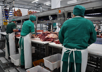 Employees working on the line separated meat shop beef