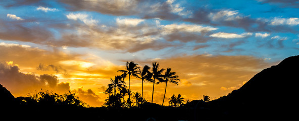 Naklejka na ściany i meble Beautiful Palm Trees Silhouette with Beach Sunrise in the Background