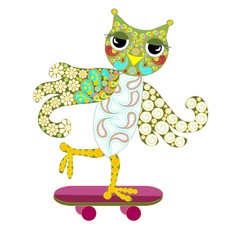 Hand drawn ornamental colorful owl on skateboard for print, stock vector illustration