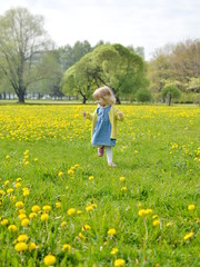 Cute little girl walking in the park with dandelion flowers