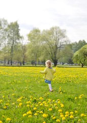 Fototapeta premium Cute little girl walking in the park with dandelion flowers