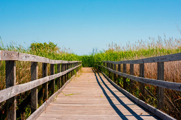 Obraz premium beach