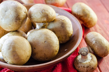 Fresh royal mushrooms