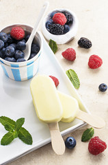 Vanilla ice cream popsicles coat with  white chocolate  with  fresh berries on marble   background. Summer food concept. Free text space, selective focus.