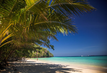 Fototapeta na wymiar idillyic tropical hidden beach with white sand and palm trees on Bamboo island, Ko Phi Phi archipelago Thailand