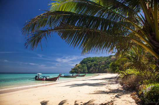 idillyic tropical hidden beach with white sand and palm trees on Bamboo island, Ko Phi Phi archipelago Thailand