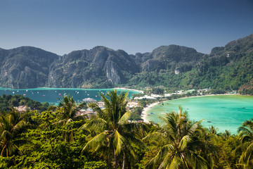 Fototapeta premium travel vacation background - Tropical island with resorts - Phi-Phi island, Krabi Province, Thailand