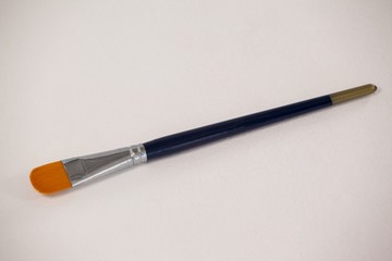 Filbert paint brush against white background