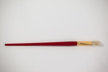 Angular paint brush against white background