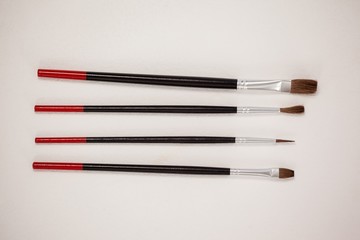 Paint brushes against white background